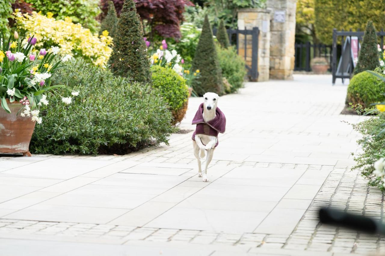 The Lygon Arms - An Iconic Luxury Hotel Broadway  Exterior foto